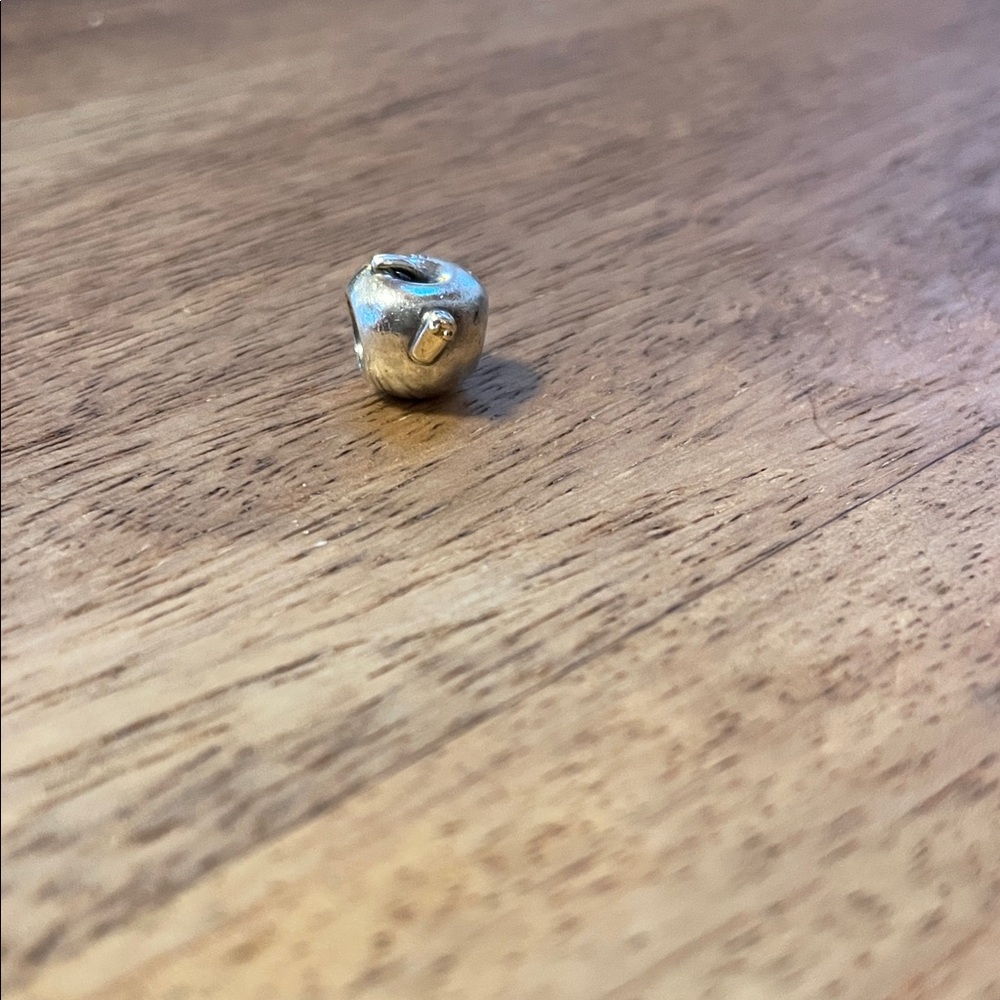 Retired Pandora Apple with Worm Charm Bead 🍎